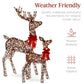 3-Piece Lighted Christmas Deer Set Outdoor Decor with LED Lights