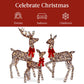 3-Piece Lighted Christmas Deer Set Outdoor Decor with LED Lights